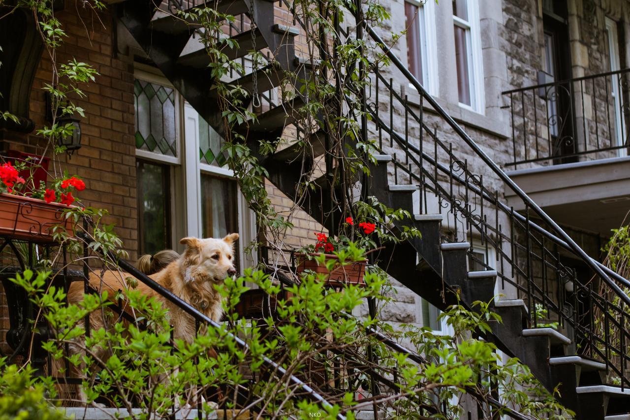 A Pousada Pied-A-Terre Mont-Royal Montréal Exterior foto